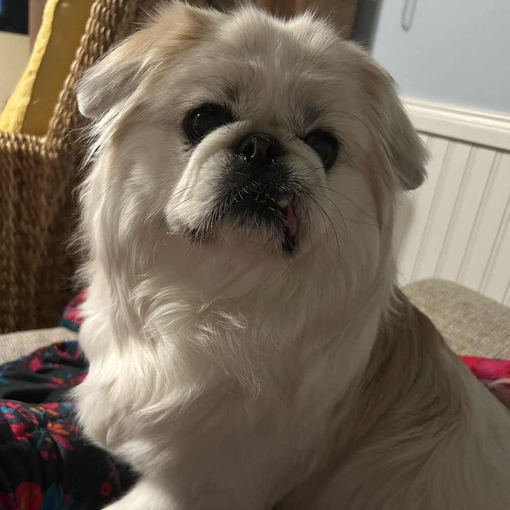 Skipper says Happy Poshing!